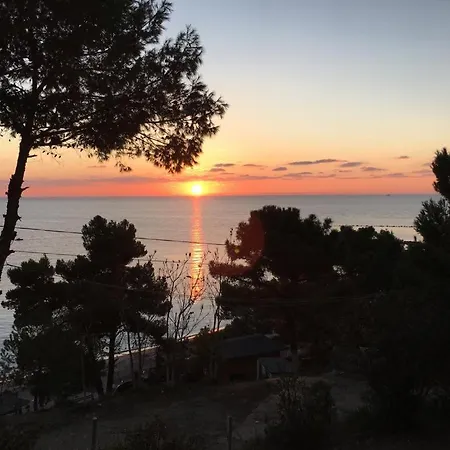 D Restaurant & Private Beach Durrës